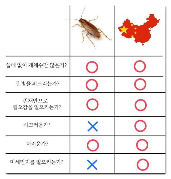 중국 VS 바퀴벌레